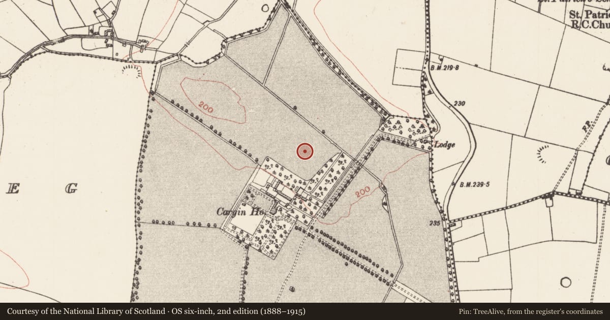 Ordnance Survey six-inch map, 2nd edition (1888–1915) covering the location of Souterrain, Cargin Demesne, County Roscommon, with a pin at the register's coordinates