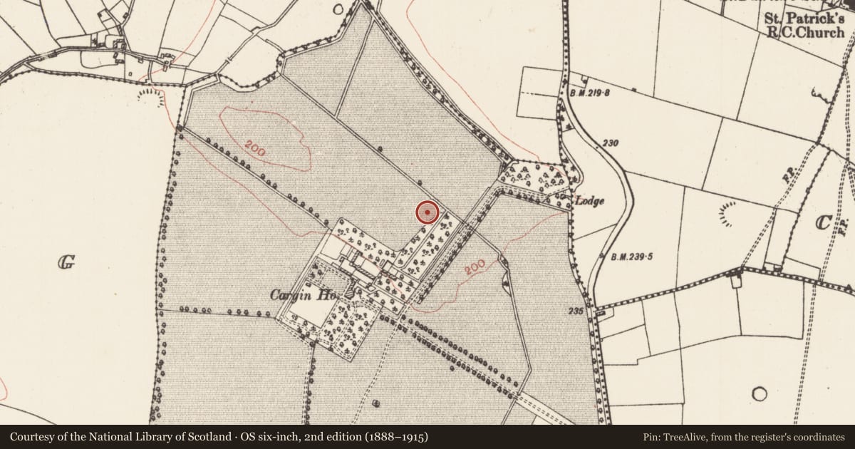 Ordnance Survey six-inch map, 2nd edition (1888–1915) covering the location of Road - road/trackway, Cargin Demesne, County Roscommon, with a pin at the register's coordinates