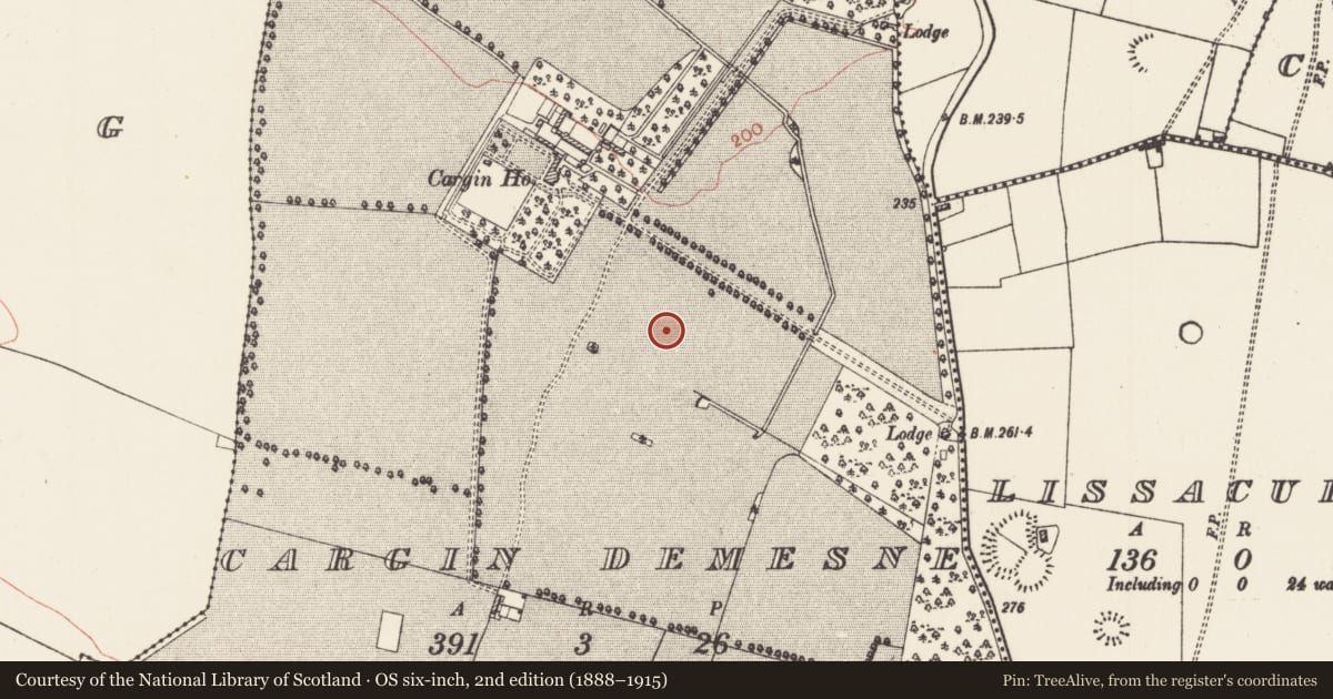 Ordnance Survey six-inch map, 2nd edition (1888–1915) covering the location of Field system, Cargin Demesne, County Roscommon, with a pin at the register's coordinates