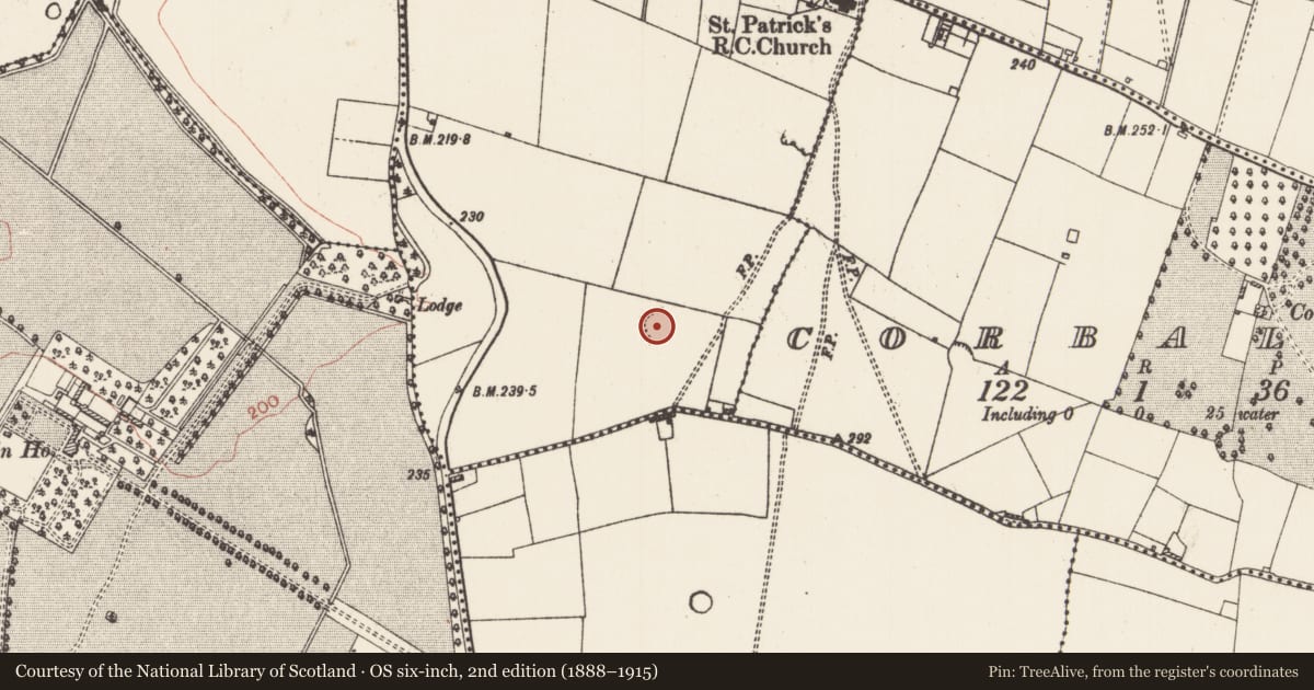 Ordnance Survey six-inch map, 2nd edition (1888–1915) covering the location of Ringfort - rath, Carrownageelaun, County Roscommon, with a pin at the register's coordinates