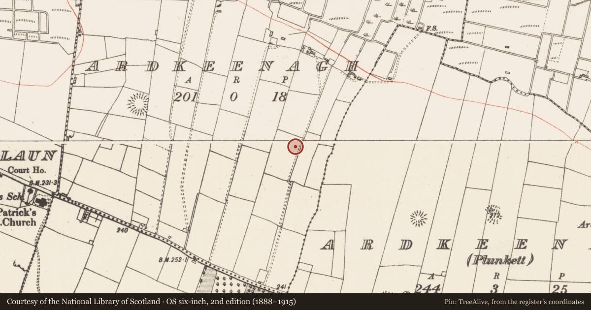 Ordnance Survey six-inch map, 2nd edition (1888–1915) covering the location of Quarry, Ardkeenagh, County Roscommon, with a pin at the register's coordinates