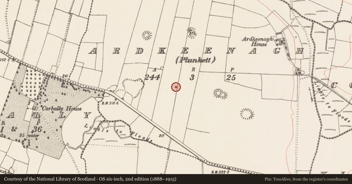 Ordnance Survey six-inch map, 2nd edition (1888–1915) covering the location of Field system, Ardkeenagh (Plunkett), County Roscommon, with a pin at the register's coordinates