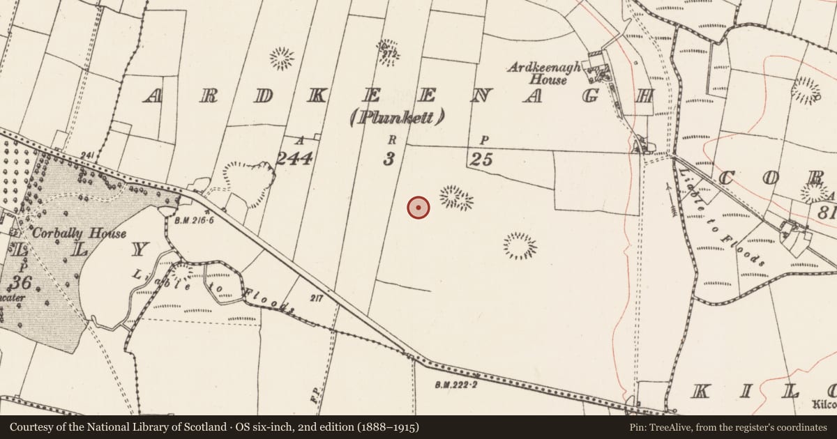 Ordnance Survey six-inch map, 2nd edition (1888–1915) covering the location of House - indeterminate date, Ardkeenagh (Plunkett), County Roscommon, with a pin at the register's coordinates