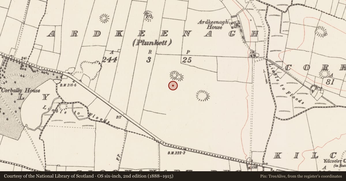 Ordnance Survey six-inch map, 2nd edition (1888–1915) covering the location of House - indeterminate date, Ardkeenagh (Plunkett), County Roscommon, with a pin at the register's coordinates