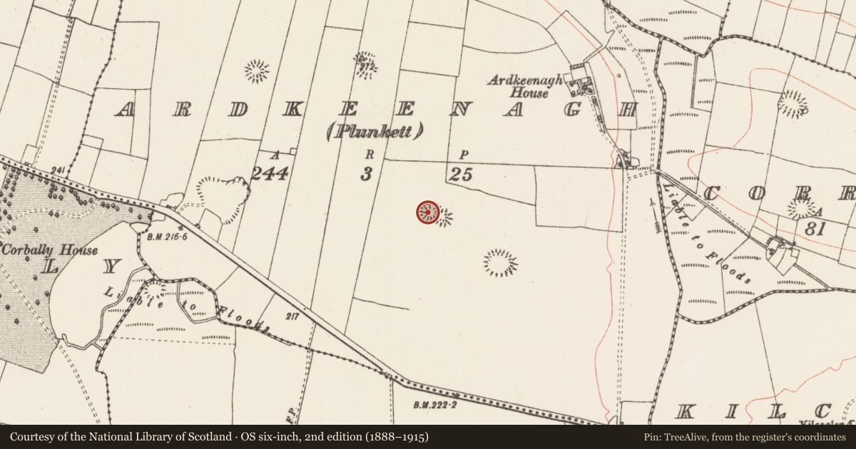 Ordnance Survey six-inch map, 2nd edition (1888–1915) covering the location of Ringfort - rath, Ardkeenagh (Plunkett), County Roscommon, with a pin at the register's coordinates