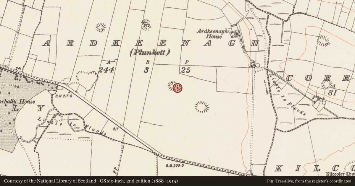 Ordnance Survey six-inch map, 2nd edition (1888–1915) covering the location of Ringfort - rath, Ardkeenagh (Plunkett), County Roscommon, with a pin at the register's coordinates