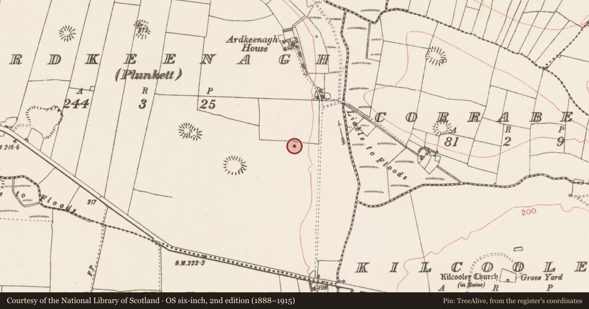 Ordnance Survey six-inch map, 2nd edition (1888–1915) covering the location of Enclosure, Ardkeenagh (Plunkett), County Roscommon, with a pin at the register's coordinates
