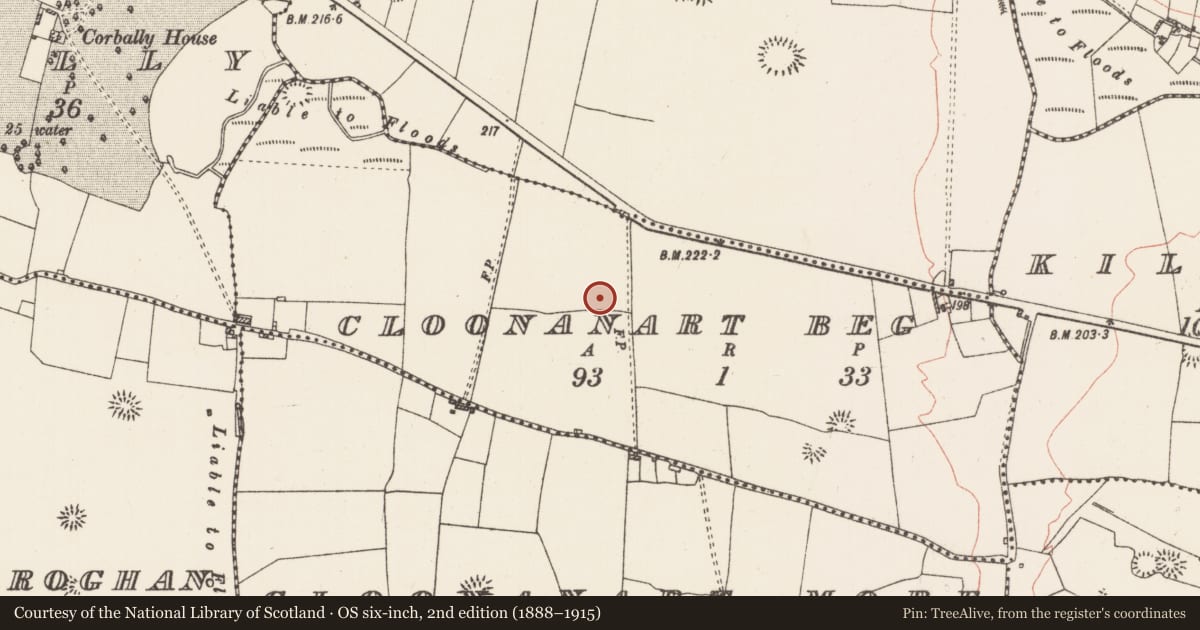 Ordnance Survey six-inch map, 2nd edition (1888–1915) covering the location of Ringfort - rath, Cloonanart Beg, County Roscommon, with a pin at the register's coordinates