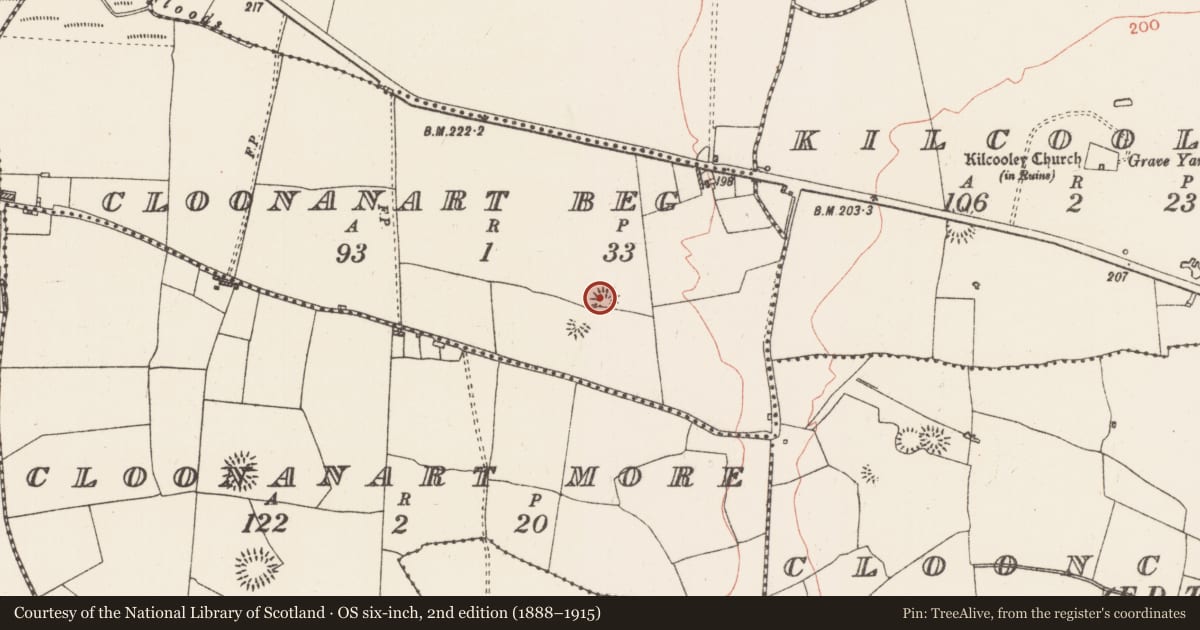 Ordnance Survey six-inch map, 2nd edition (1888–1915) covering the location of Ringfort - rath, Cloonanart Beg, County Roscommon, with a pin at the register's coordinates