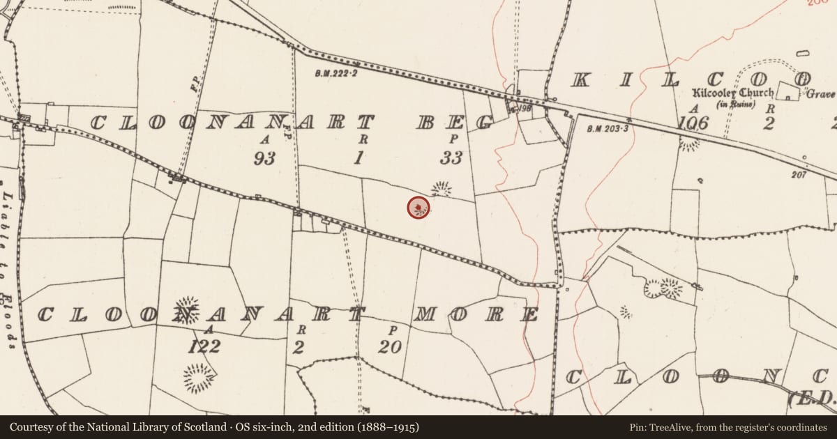 Ordnance Survey six-inch map, 2nd edition (1888–1915) covering the location of Ringfort - rath, Cloonanart Beg, County Roscommon, with a pin at the register's coordinates