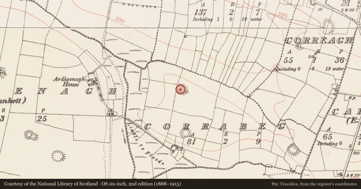 Ordnance Survey six-inch map, 2nd edition (1888–1915) covering the location of Ringfort - rath, Corrabeg, County Roscommon, with a pin at the register's coordinates