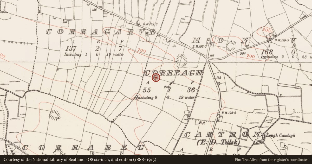 Ordnance Survey six-inch map, 2nd edition (1888–1915) covering the location of Ringfort - rath, Correagh, County Roscommon, with a pin at the register's coordinates