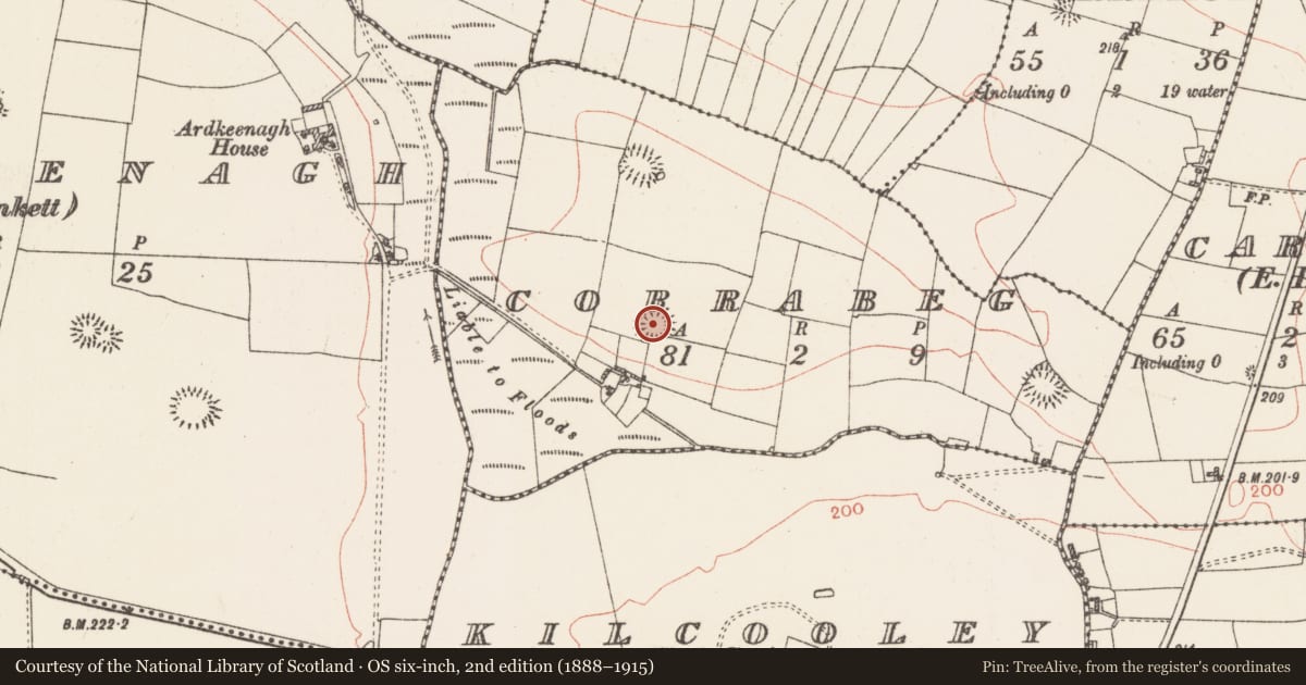 Ordnance Survey six-inch map, 2nd edition (1888–1915) covering the location of Ringfort - rath, Corrabeg, County Roscommon, with a pin at the register's coordinates