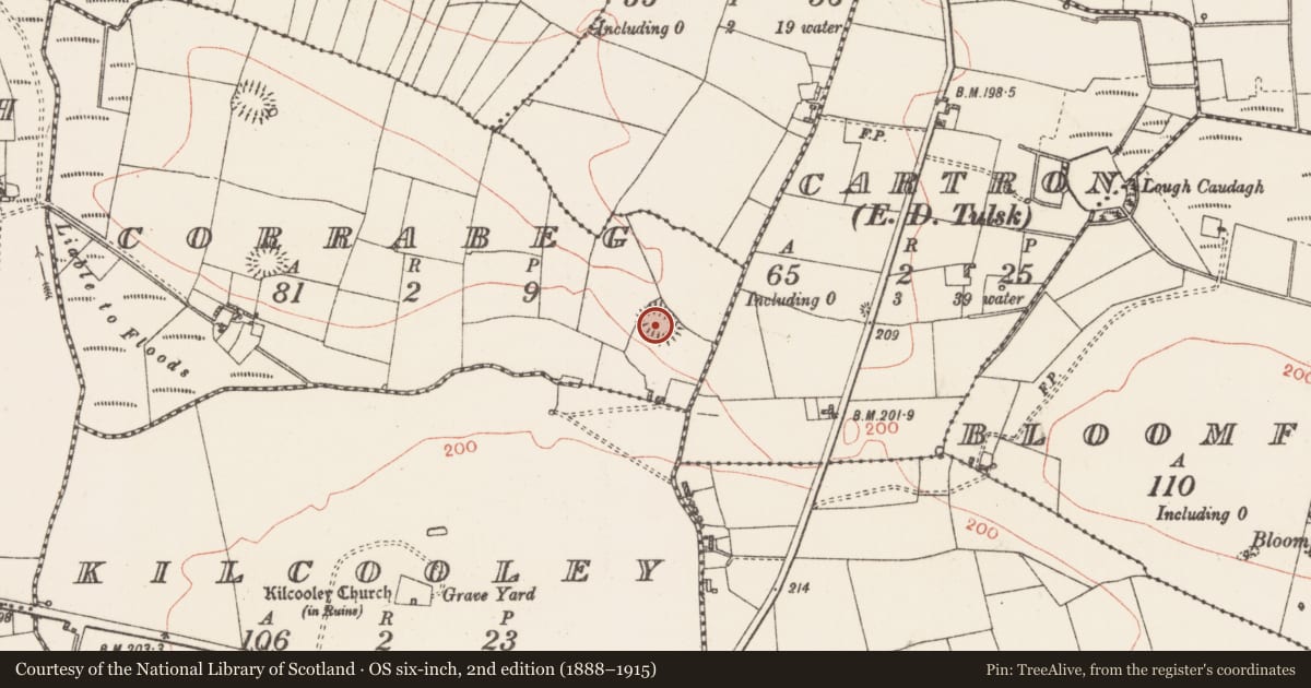 Ordnance Survey six-inch map, 2nd edition (1888–1915) covering the location of Ringfort - cashel, Corrabeg, County Roscommon, with a pin at the register's coordinates