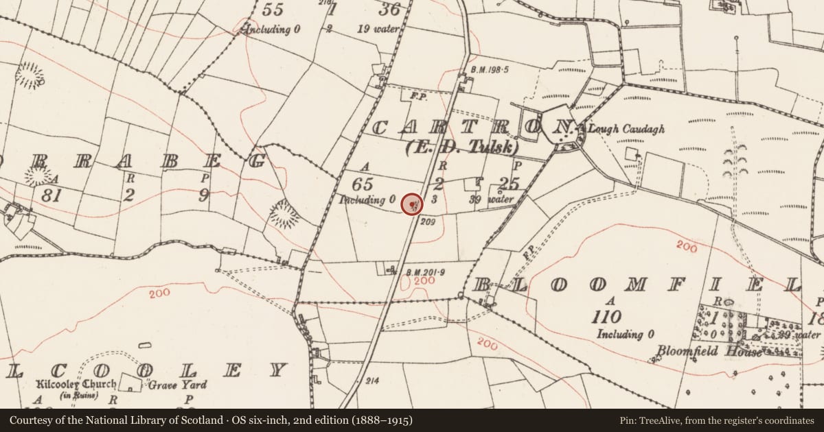 Ordnance Survey six-inch map, 2nd edition (1888–1915) covering the location of Quarry, Cartron, County Roscommon, with a pin at the register's coordinates