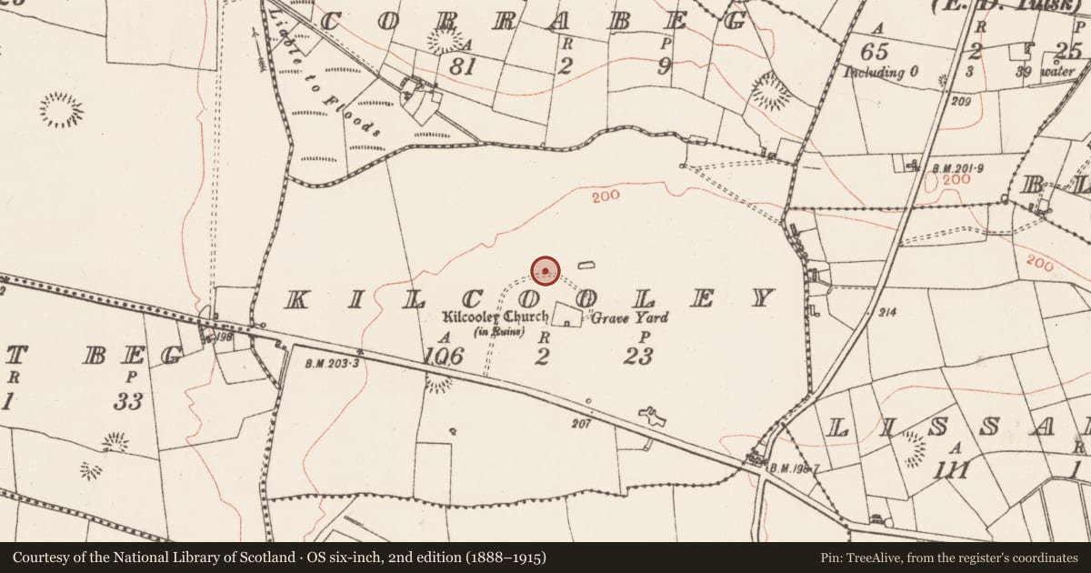 Ordnance Survey six-inch map, 2nd edition (1888–1915) covering the location of Field system, Kilcooley, County Roscommon, with a pin at the register's coordinates