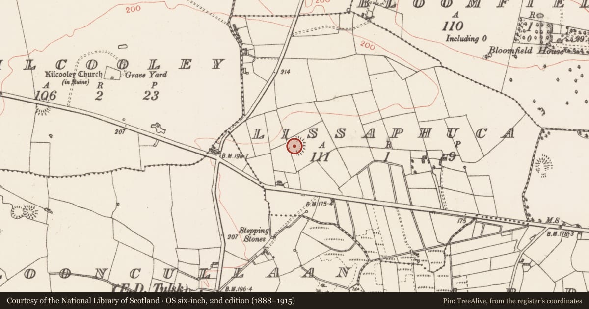 Ordnance Survey six-inch map, 2nd edition (1888–1915) covering the location of Ringfort - rath, Lissaphuca, County Roscommon, with a pin at the register's coordinates