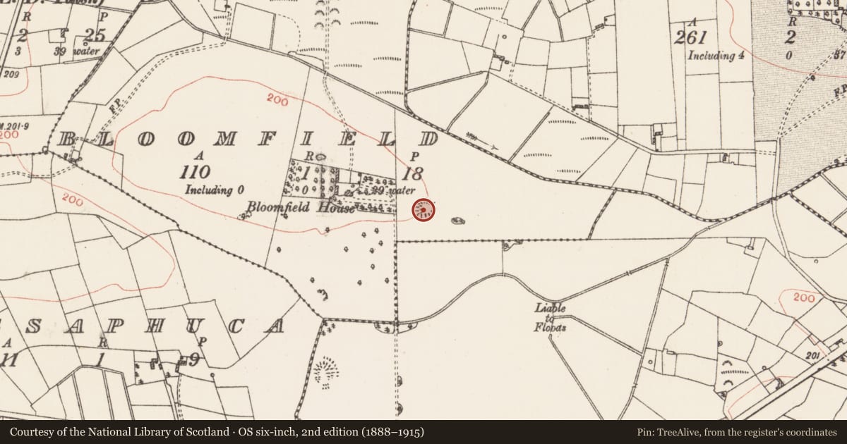 Ordnance Survey six-inch map, 2nd edition (1888–1915) covering the location of Ringfort - rath, Bloomfield, County Roscommon, with a pin at the register's coordinates