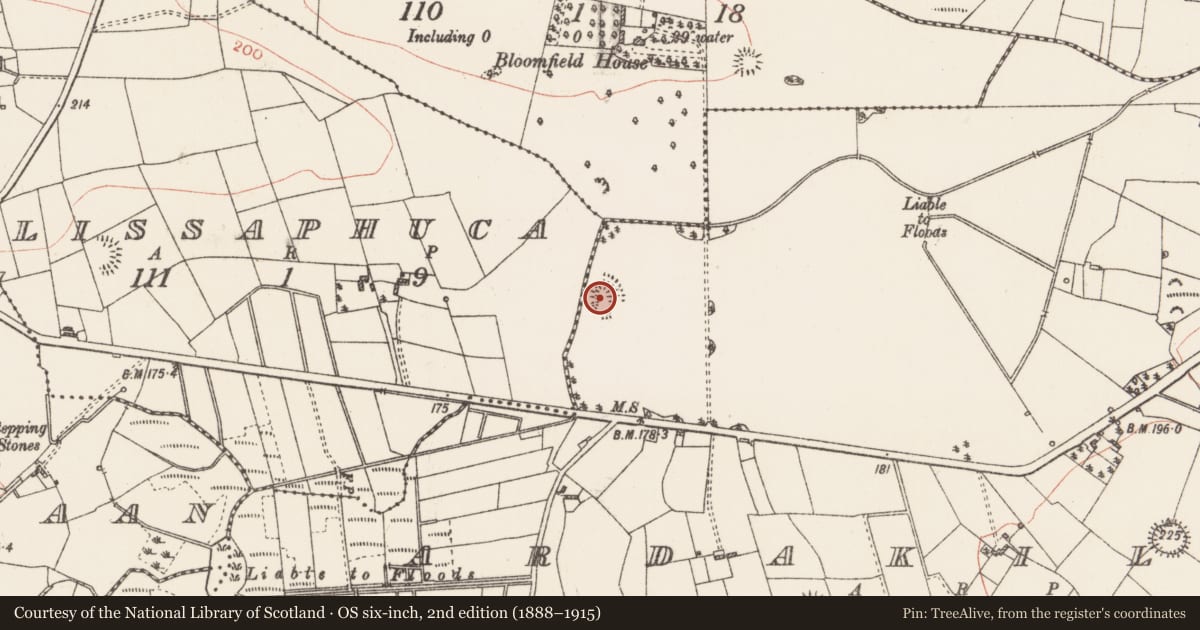 Ordnance Survey six-inch map, 2nd edition (1888–1915) covering the location of Ringfort - rath, Ardakillin, County Roscommon, with a pin at the register's coordinates