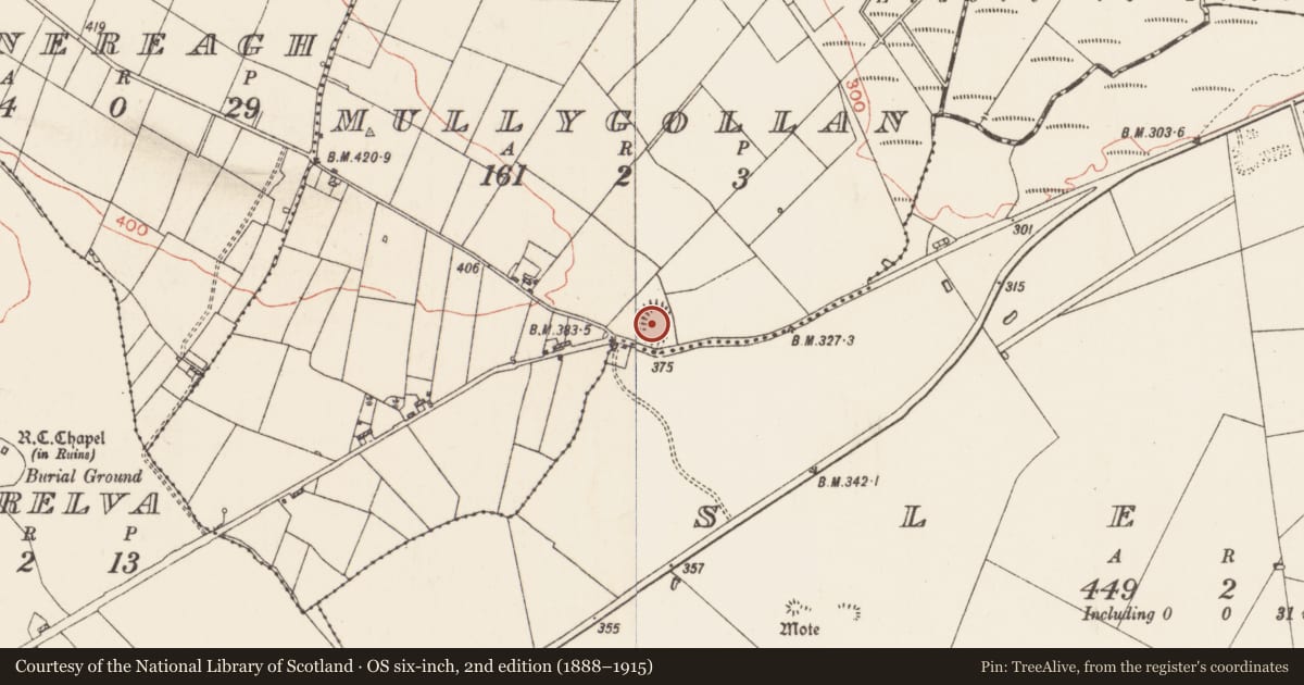 Ordnance Survey six-inch map, 2nd edition (1888–1915) covering the location of Ringfort - rath, Mullygollan, County Roscommon, with a pin at the register's coordinates