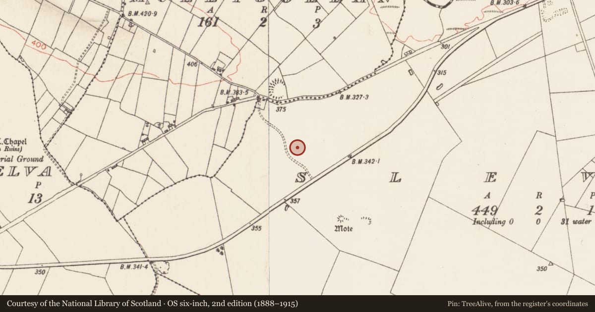 Ordnance Survey six-inch map, 2nd edition (1888–1915) covering the location of Field system, Slevin, County Roscommon, with a pin at the register's coordinates