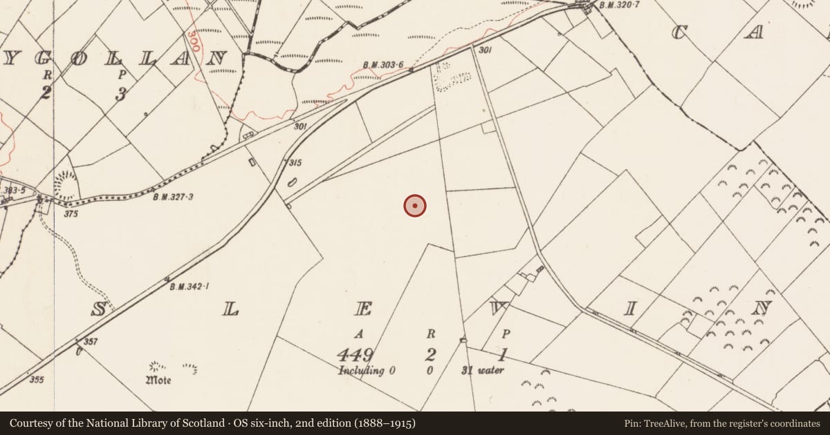Ordnance Survey six-inch map, 2nd edition (1888–1915) covering the location of Quarry, Slevin, County Roscommon, with a pin at the register's coordinates