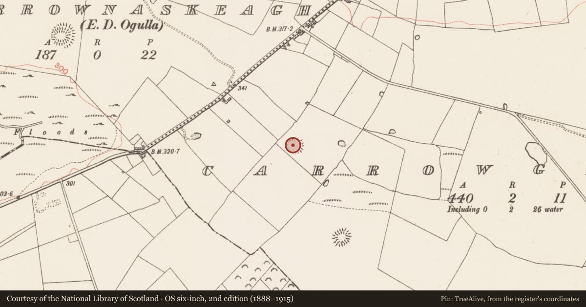 Ordnance Survey six-inch map, 2nd edition (1888–1915) covering the location of Ringfort - rath, Carrowgarve, County Roscommon, with a pin at the register's coordinates