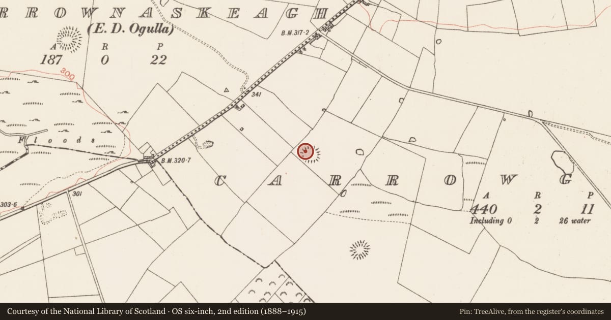 Ordnance Survey six-inch map, 2nd edition (1888–1915) covering the location of Souterrain, Carrowgarve, County Roscommon, with a pin at the register's coordinates
