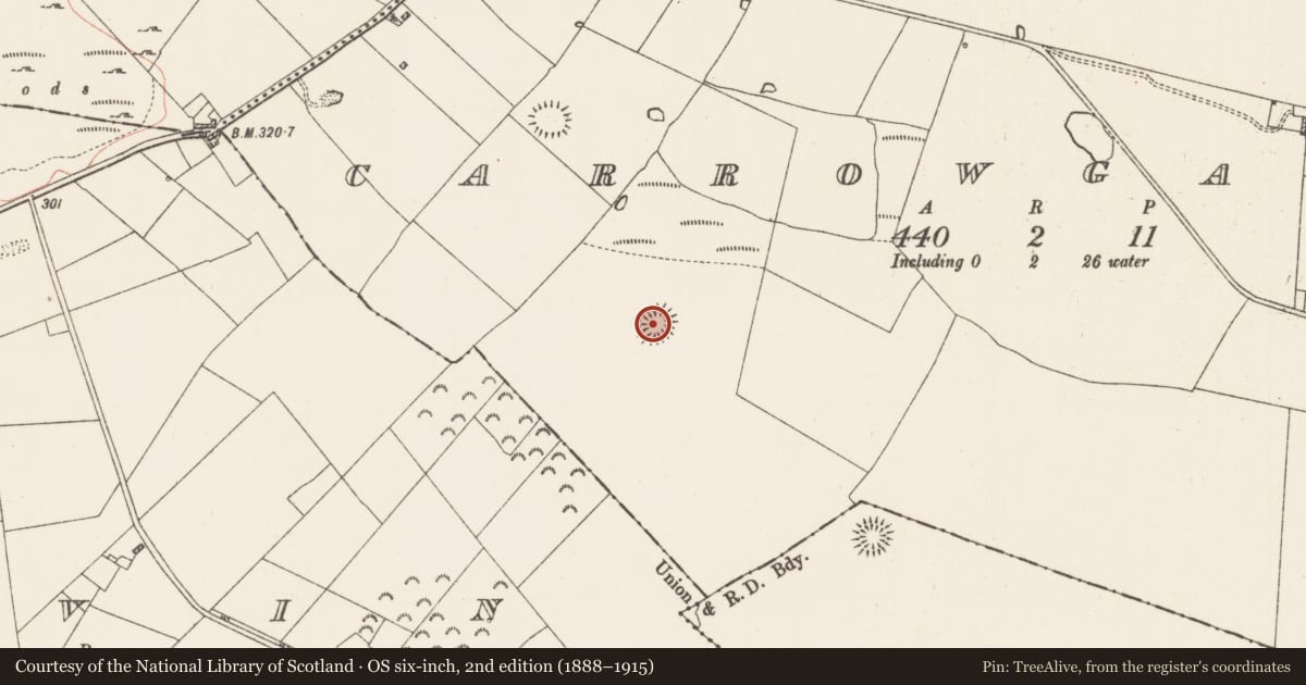 Ordnance Survey six-inch map, 2nd edition (1888–1915) covering the location of Ringfort - rath, Carrowgarve, County Roscommon, with a pin at the register's coordinates
