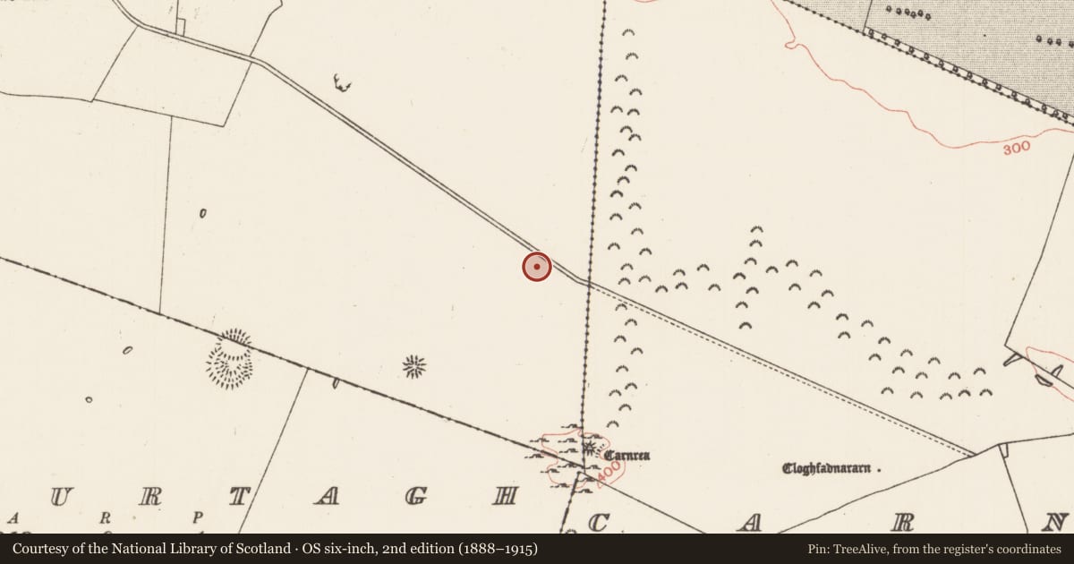 Ordnance Survey six-inch map, 2nd edition (1888–1915) covering the location of Field system, County Roscommon, with a pin at the register's coordinates