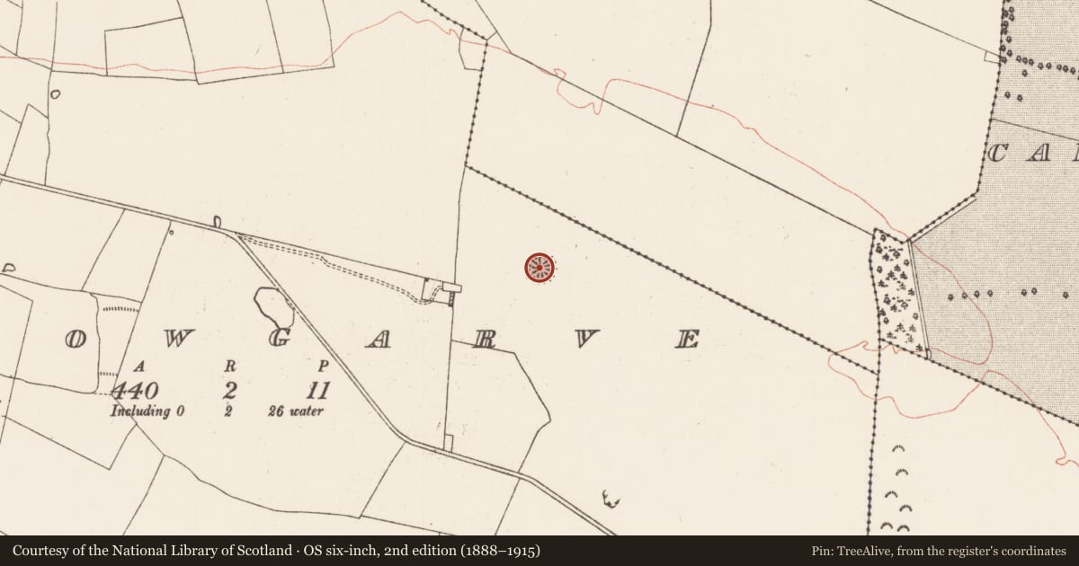 Ordnance Survey six-inch map, 2nd edition (1888–1915) covering the location of Ringfort - rath, Carrowgarve, County Roscommon, with a pin at the register's coordinates