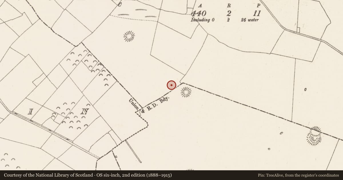 Ordnance Survey six-inch map, 2nd edition (1888–1915) covering the location of Ringfort - rath, Carrowgarve, County Roscommon, with a pin at the register's coordinates