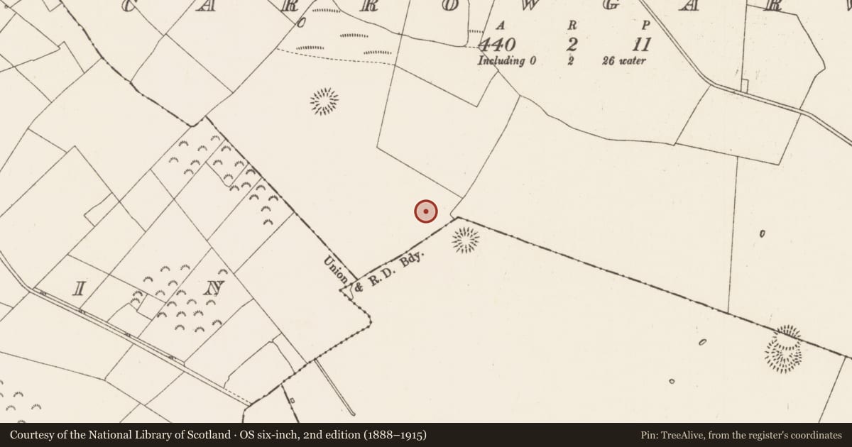 Ordnance Survey six-inch map, 2nd edition (1888–1915) covering the location of Enclosure, Carrowgarve, County Roscommon, with a pin at the register's coordinates