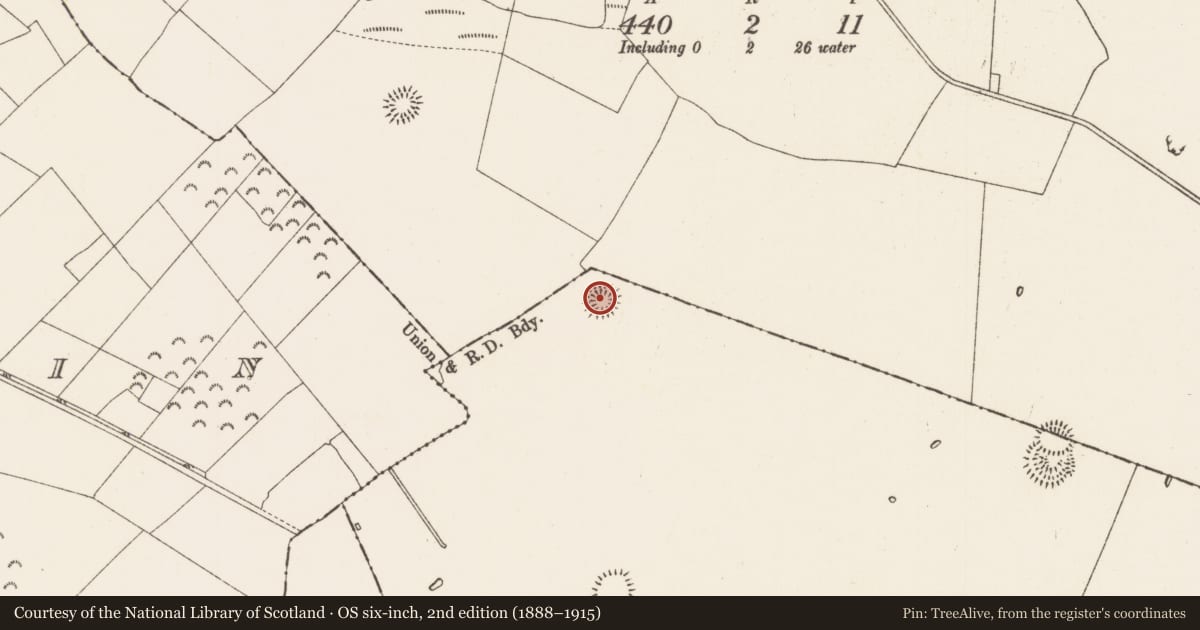 Ordnance Survey six-inch map, 2nd edition (1888–1915) covering the location of Hut site, Lismurtagh, County Roscommon, with a pin at the register's coordinates
