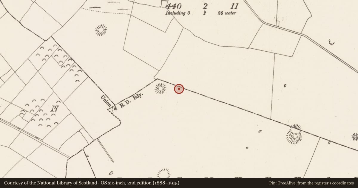 Ordnance Survey six-inch map, 2nd edition (1888–1915) covering the location of Ringfort - rath, Carrowgarve, Lismurtagh, County Roscommon, with a pin at the register's coordinates