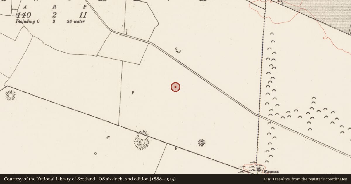 Ordnance Survey six-inch map, 2nd edition (1888–1915) covering the location of Enclosure, Carrowgarve, County Roscommon, with a pin at the register's coordinates