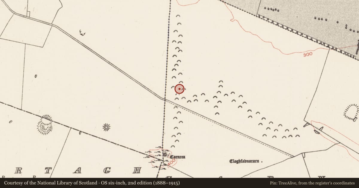 Ordnance Survey six-inch map, 2nd edition (1888–1915) covering the location of Road - road/trackway, Carns, County Roscommon, with a pin at the register's coordinates