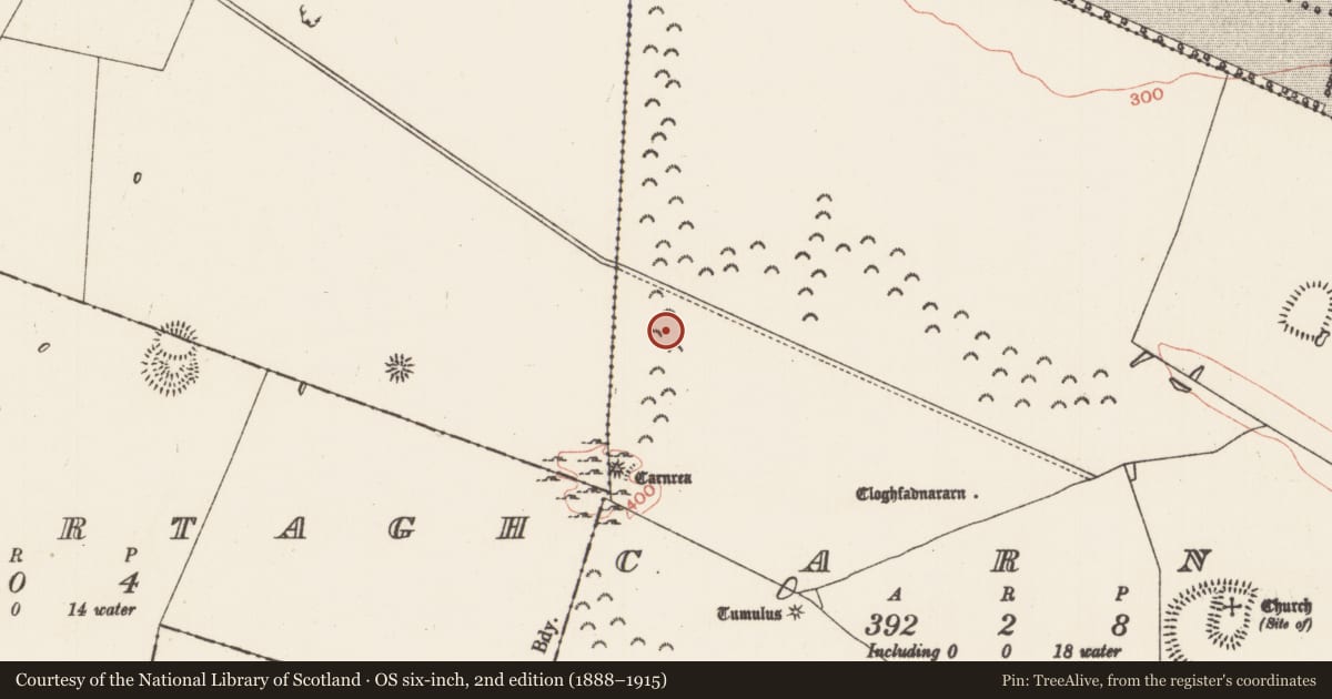 Ordnance Survey six-inch map, 2nd edition (1888–1915) covering the location of Barrow - ring-barrow, Carns, County Roscommon, with a pin at the register's coordinates