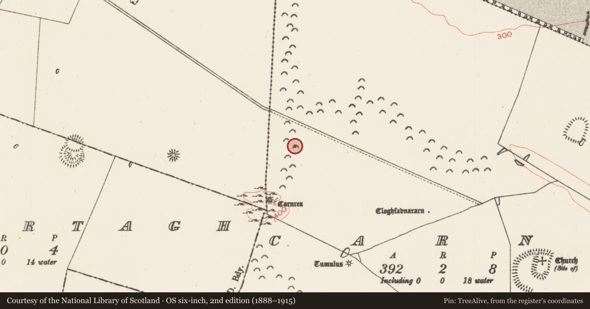 Ordnance Survey six-inch map, 2nd edition (1888–1915) covering the location of Barrow - mound barrow, Carns, County Roscommon, with a pin at the register's coordinates