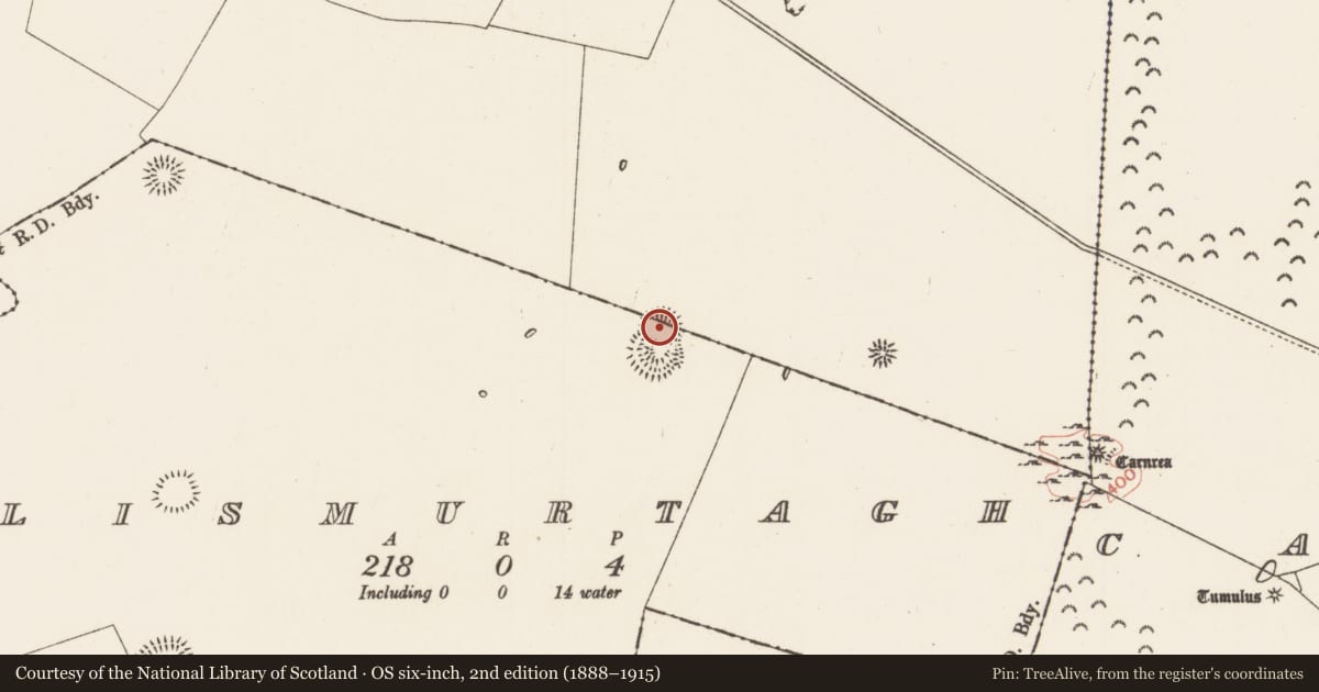 Ordnance Survey six-inch map, 2nd edition (1888–1915) covering the location of Ringfort - rath, Carrowgarve, Lismurtagh, County Roscommon, with a pin at the register's coordinates