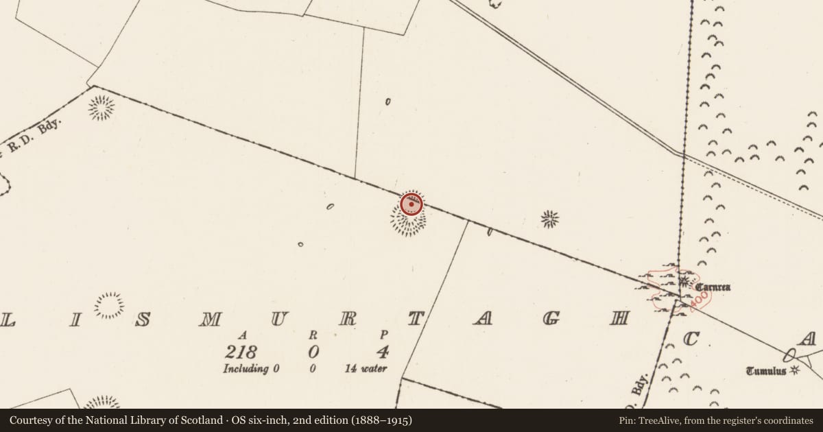 Ordnance Survey six-inch map, 2nd edition (1888–1915) covering the location of Hut site, Lismurtagh, County Roscommon, with a pin at the register's coordinates