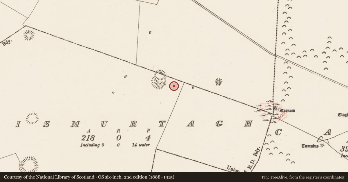 Ordnance Survey six-inch map, 2nd edition (1888–1915) covering the location of Barrow - mound barrow, Lismurtagh, County Roscommon, with a pin at the register's coordinates