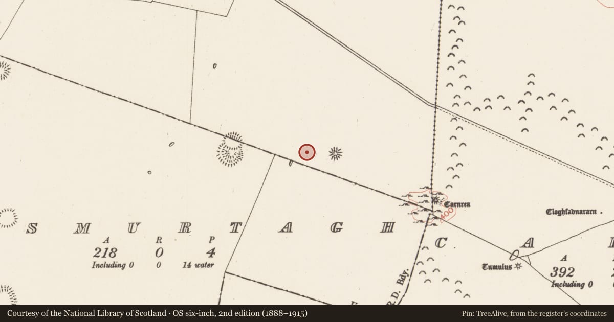 Ordnance Survey six-inch map, 2nd edition (1888–1915) covering the location of Enclosure, Carrowgarve, County Roscommon, with a pin at the register's coordinates