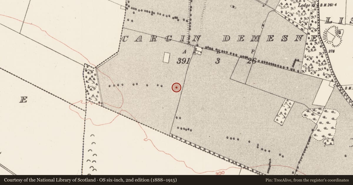 Ordnance Survey six-inch map, 2nd edition (1888–1915) covering the location of Road - road/trackway, County Roscommon, with a pin at the register's coordinates
