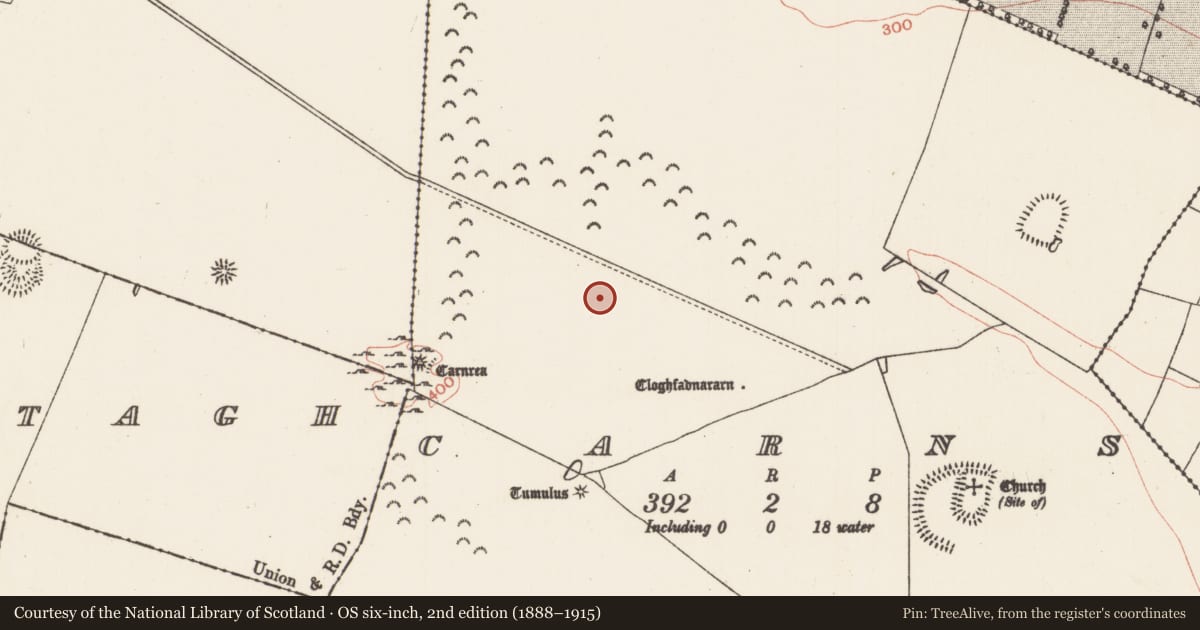Ordnance Survey six-inch map, 2nd edition (1888–1915) covering the location of Barrow - ditch barrow, Carns, County Roscommon, with a pin at the register's coordinates