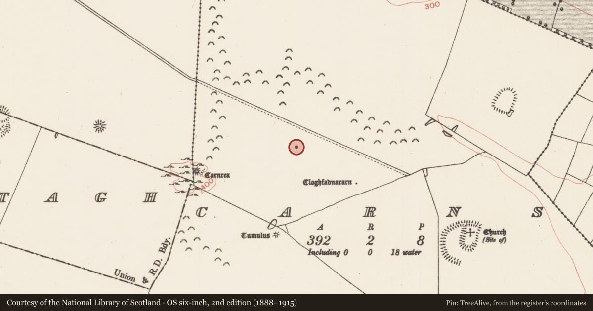 Ordnance Survey six-inch map, 2nd edition (1888–1915) covering the location of Barrow - mound barrow, Carns, County Roscommon, with a pin at the register's coordinates