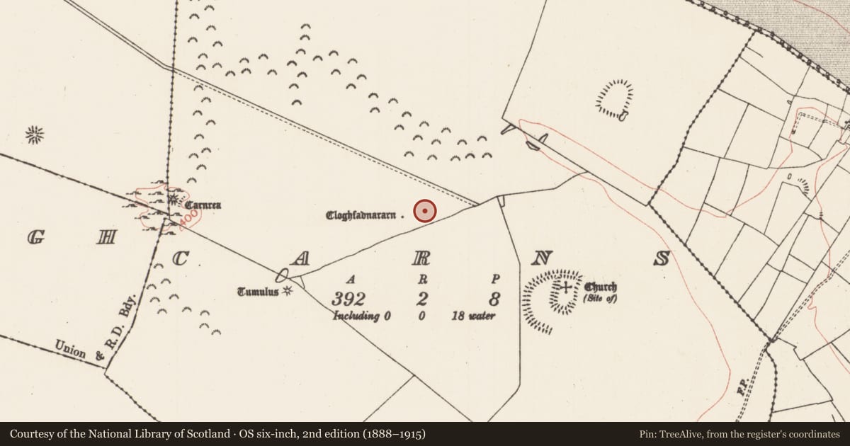 Ordnance Survey six-inch map, 2nd edition (1888–1915) covering the location of Standing stone, Carns, County Roscommon, with a pin at the register's coordinates