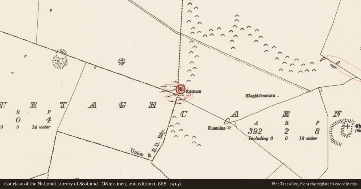 Ordnance Survey six-inch map, 2nd edition (1888–1915) covering the location of Cairn - unclassified, Carns, County Roscommon, with a pin at the register's coordinates
