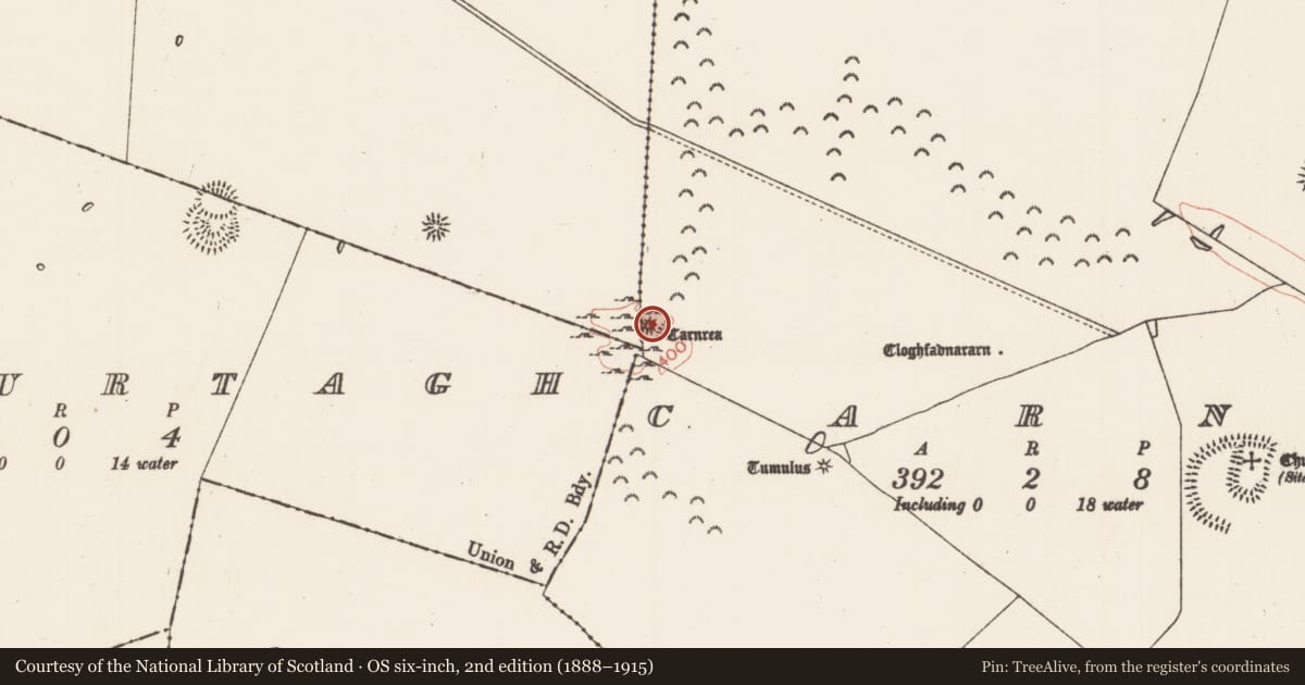 Ordnance Survey six-inch map, 2nd edition (1888–1915) covering the location of Ceremonial enclosure, County Roscommon, with a pin at the register's coordinates