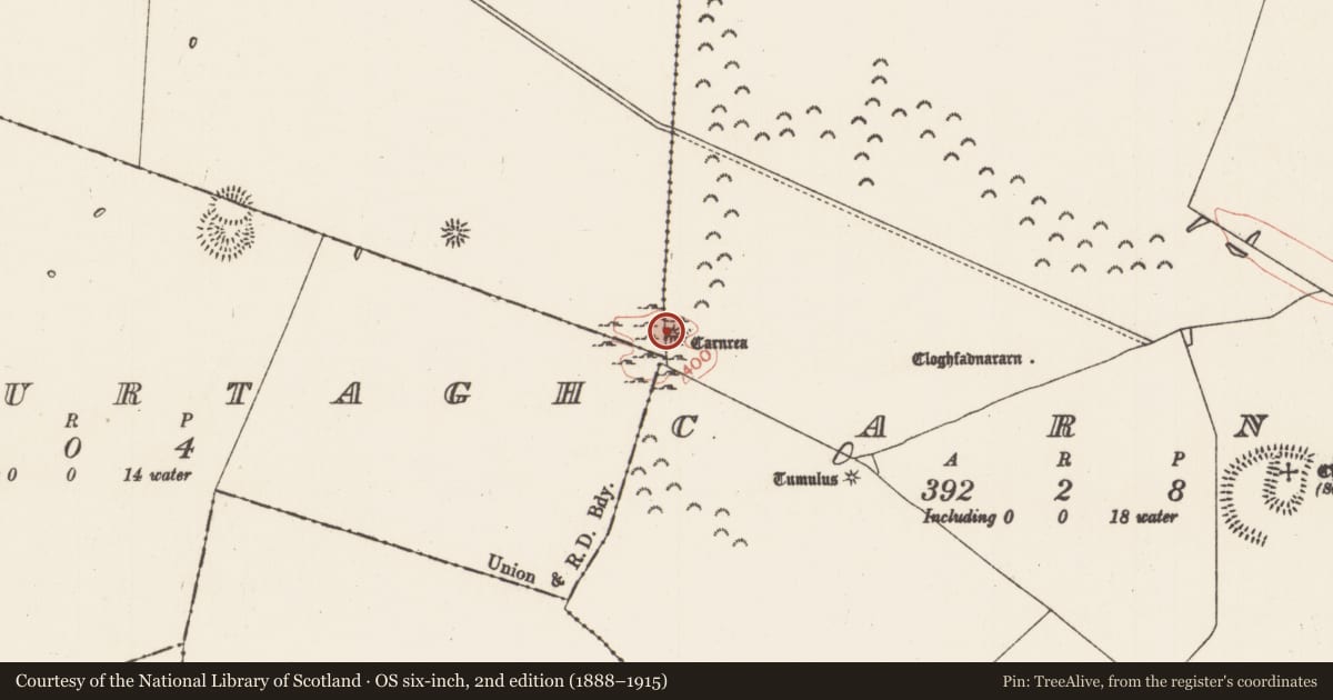 Ordnance Survey six-inch map, 2nd edition (1888–1915) covering the location of Inauguration site, Carns, Carrowgarve, County Roscommon, with a pin at the register's coordinates